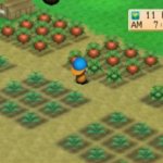 Harvest Moon Back to Nature Gameplay PSP 5