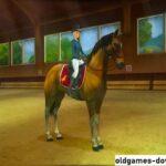 Horse Life 2 Gameplay Win 3