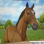 Horse Life 2 Gameplay Win 4
