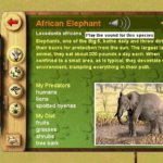 Sim Safari screenshot windows