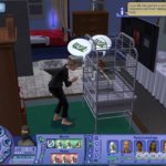 The Sims 2 Pets Gameplay Win 1